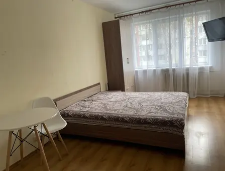One-bedroom apartment for daily rent in Rechitsa, Snezhkova St. 22