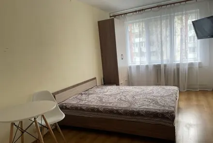 One-bedroom apartment for daily rent in Rechitsa, Snezhkova St. 22